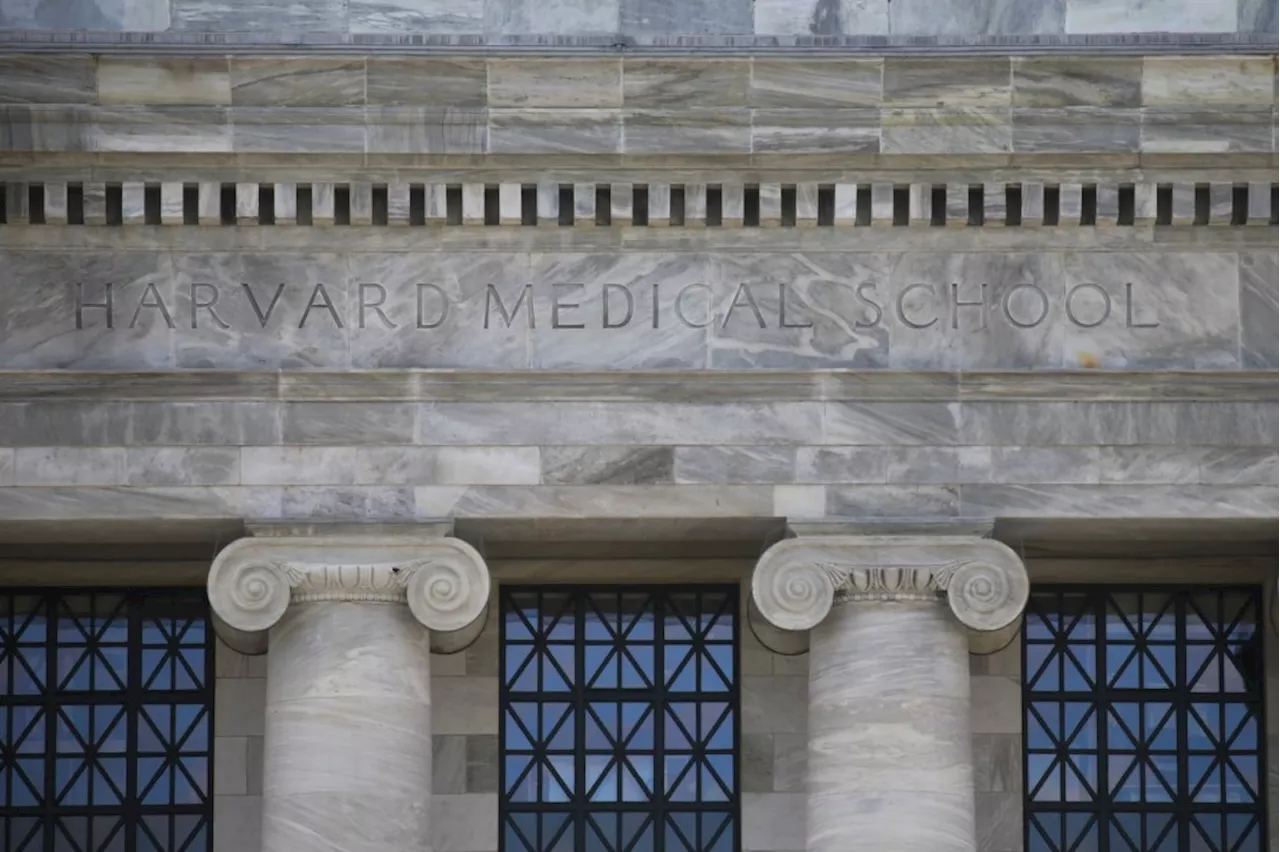 Harvard body parts trafficking scandal lawsuits could merge into one big one