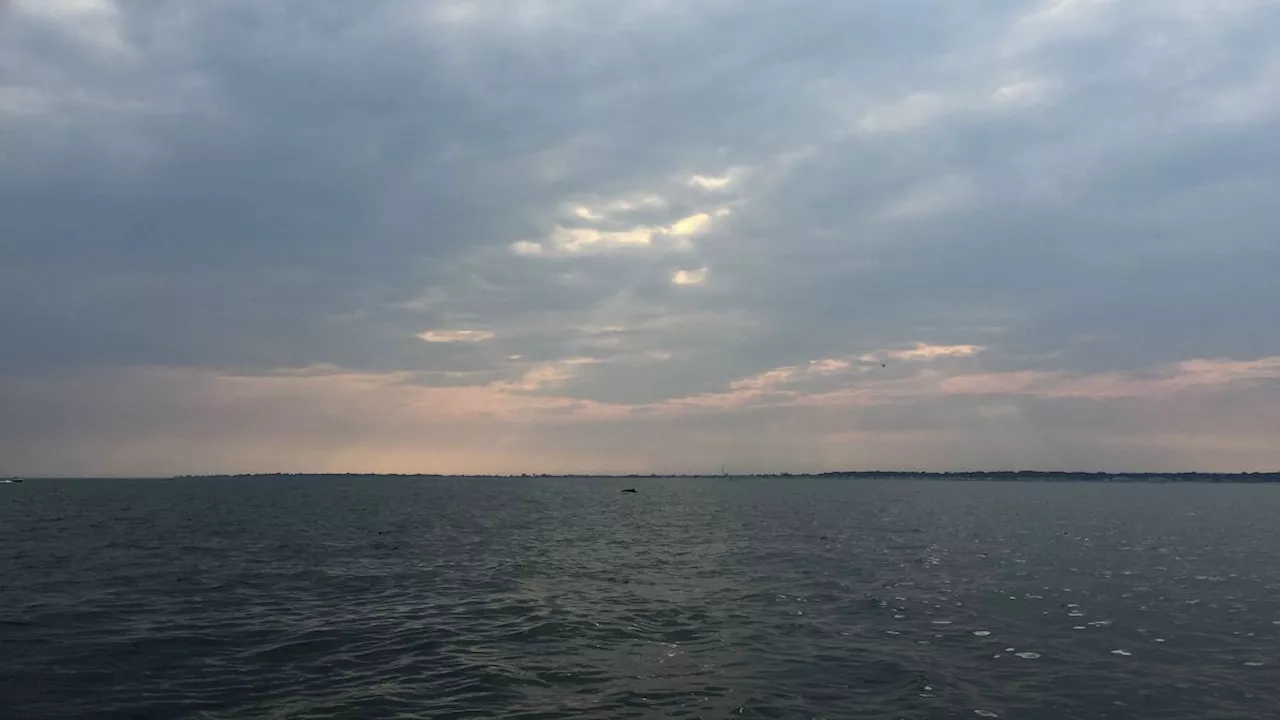 2 missing after boat sinks in Long Island Sound off Westport