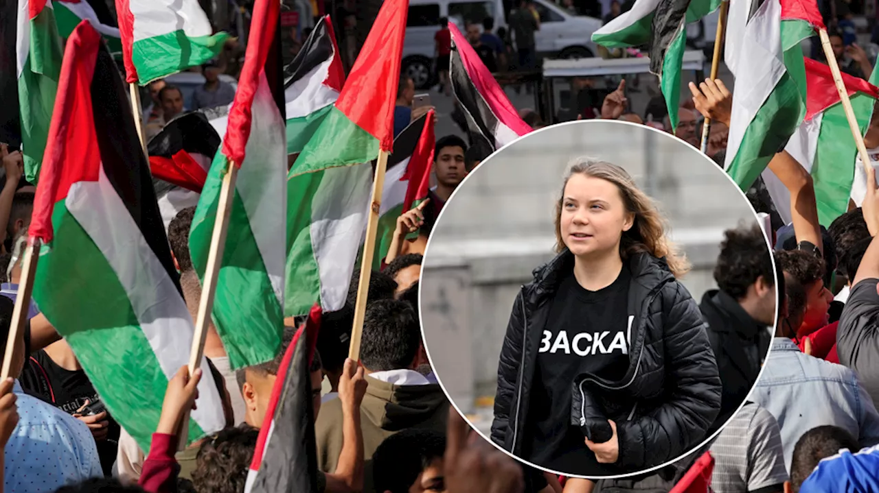 Israel mocks Greta Thunberg for pro-Palestine post: 'Hamas doesn't use sustainable materials'