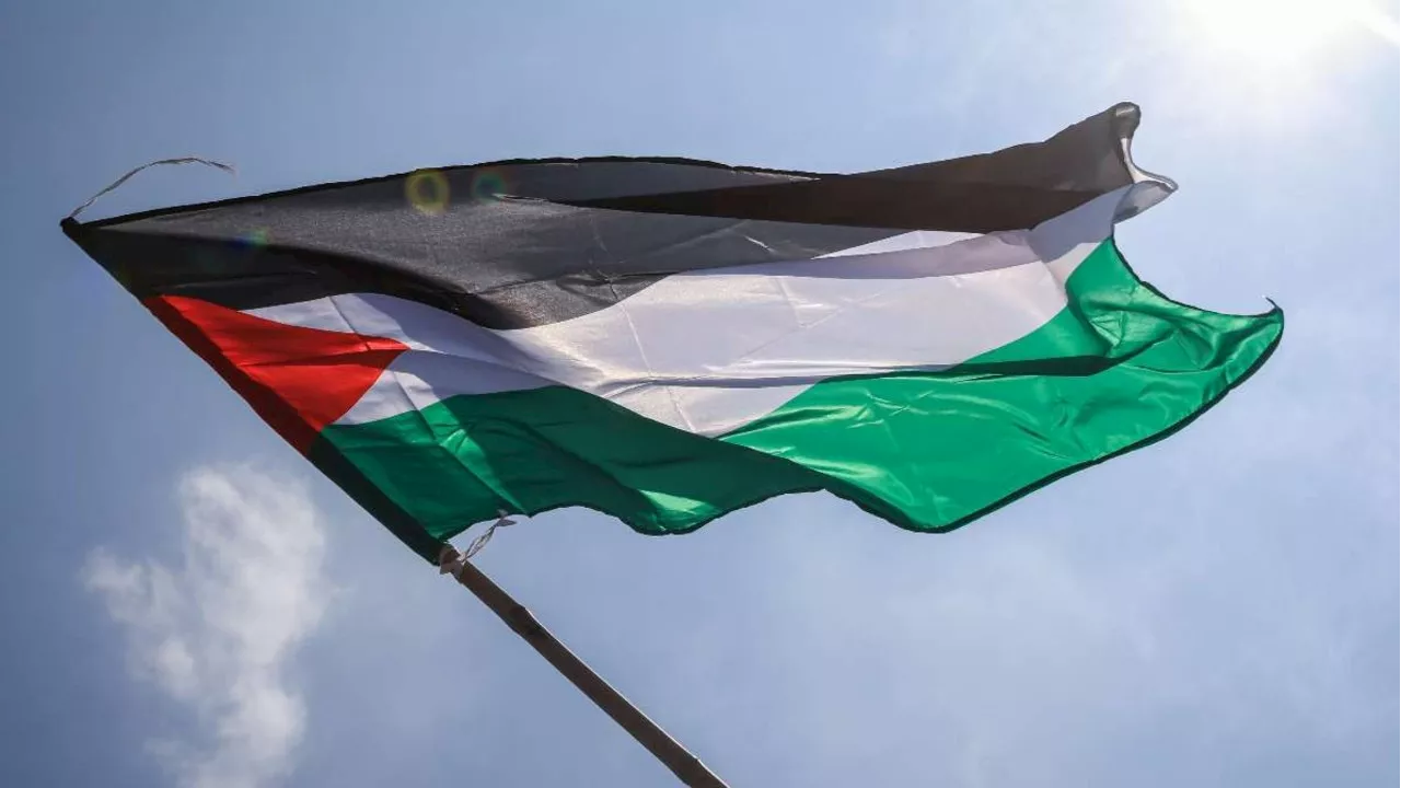 Council’s backflip over Palestinian flag