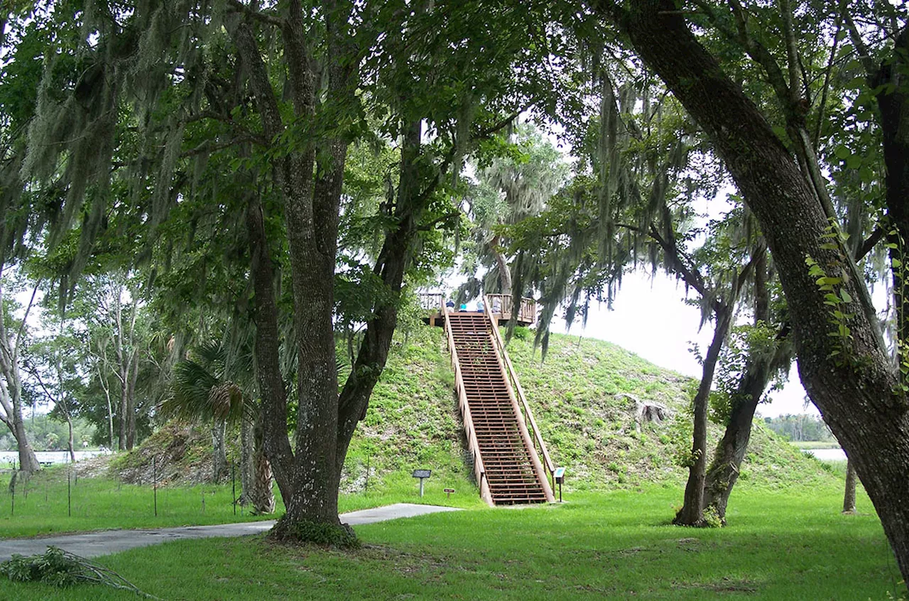 Archaeology society spars over publishing photos of Indigenous burial offerings