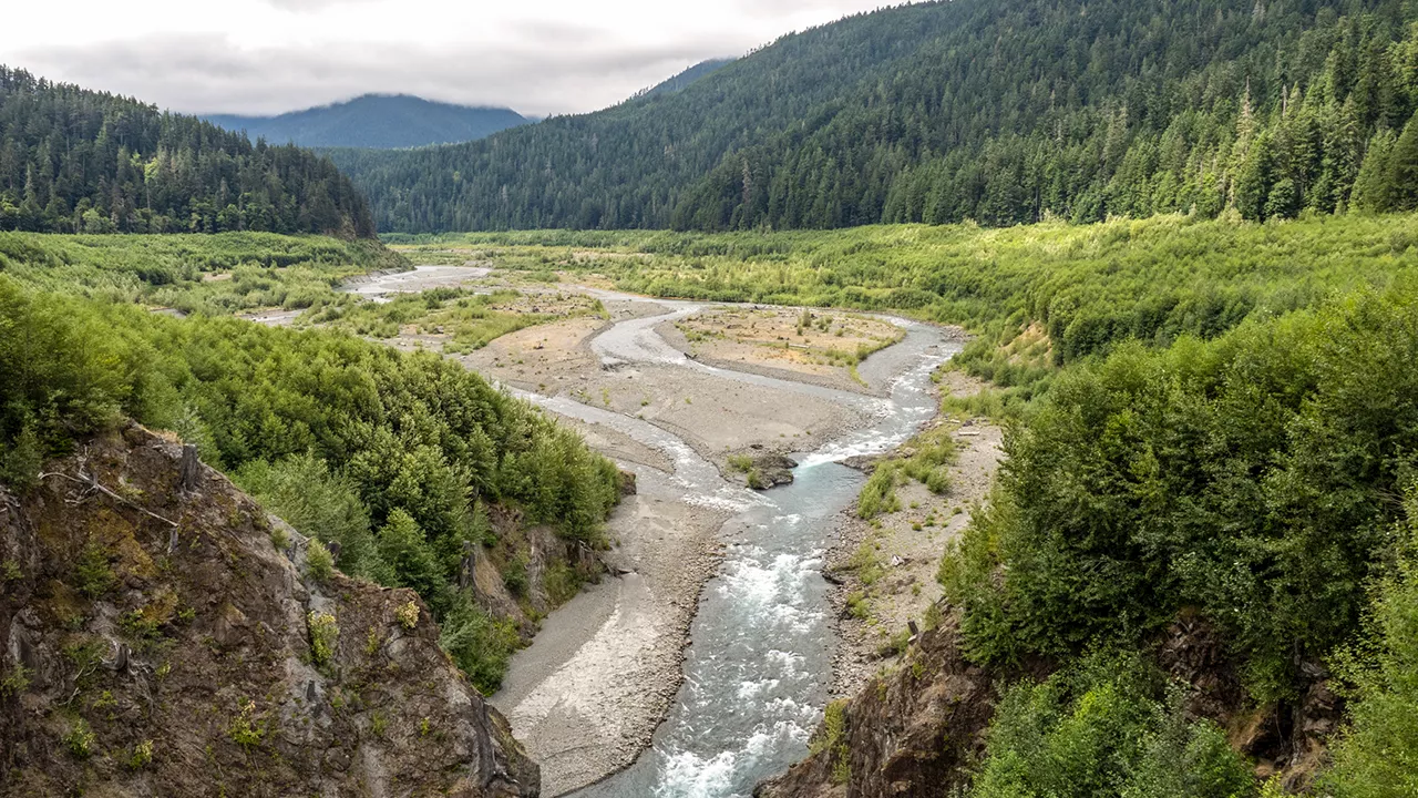 The consequences of removing the world largest dam, and building a quantum computer using sound waves