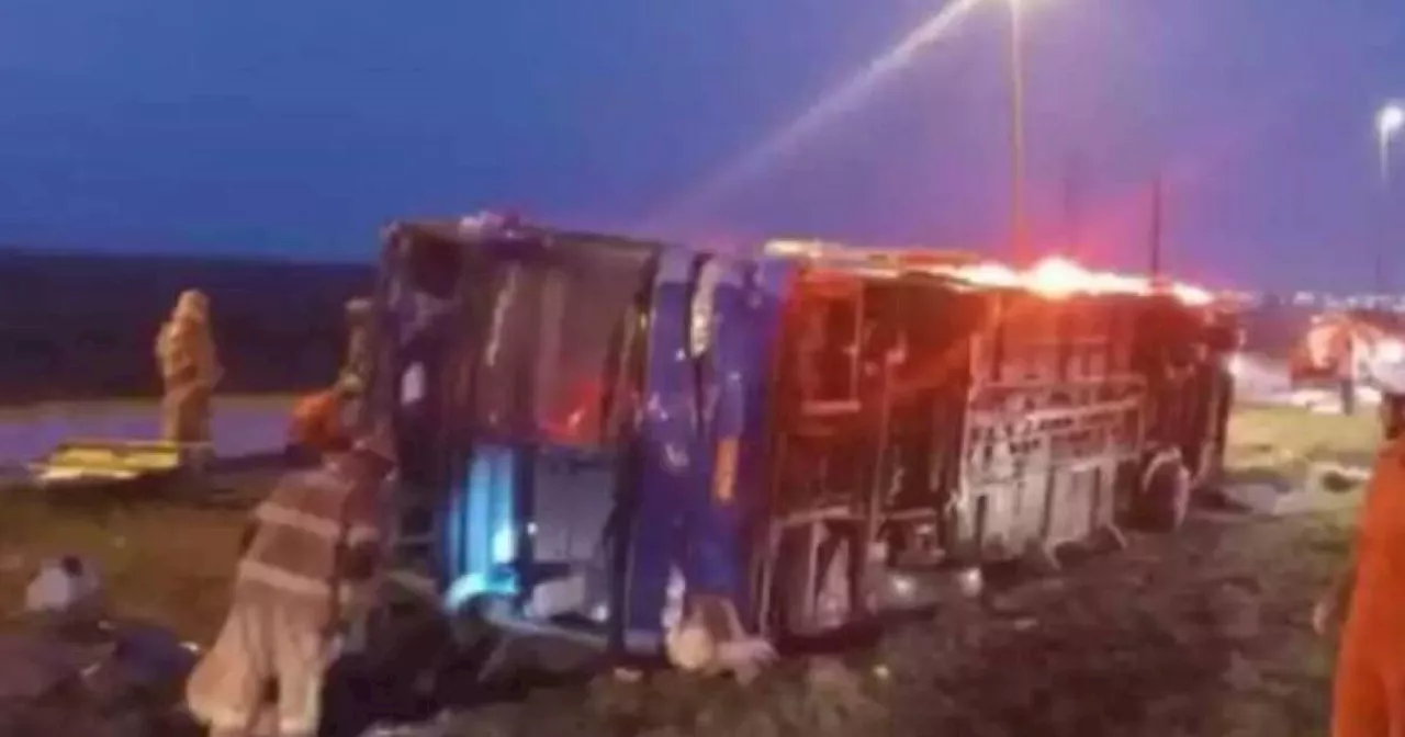 Tragedia en Brasil: siete muertos por accidente de bus que emprendió la huida tras un retén