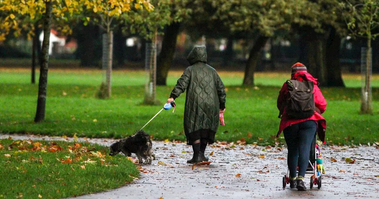 Vet issues warning over the risk rain can pose to dogs