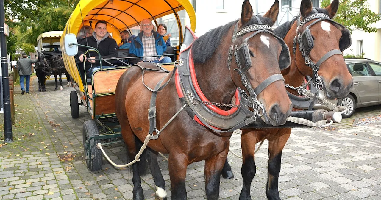 Hunderte Besucher bei Traditionsveranstaltung im Kreis Gütersloh