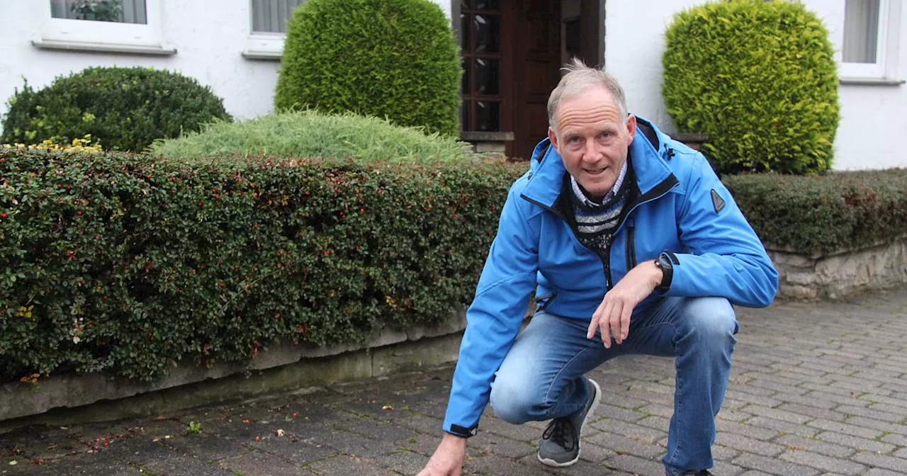 Willebadessen verlegt erste Stolpersteine in einem Dorf