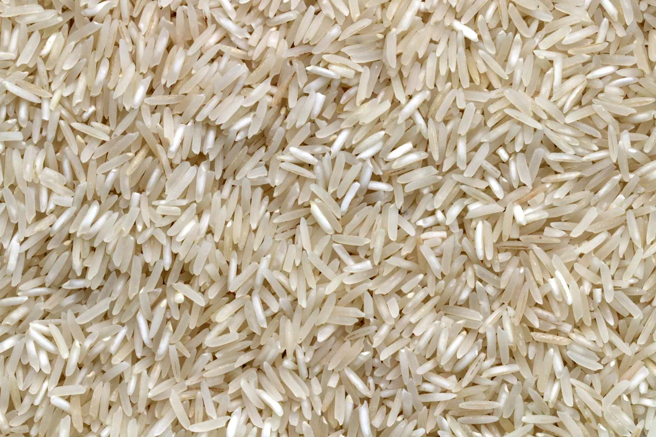 Researchers discover genes responsible for low and ultra-low glycemic index in rice