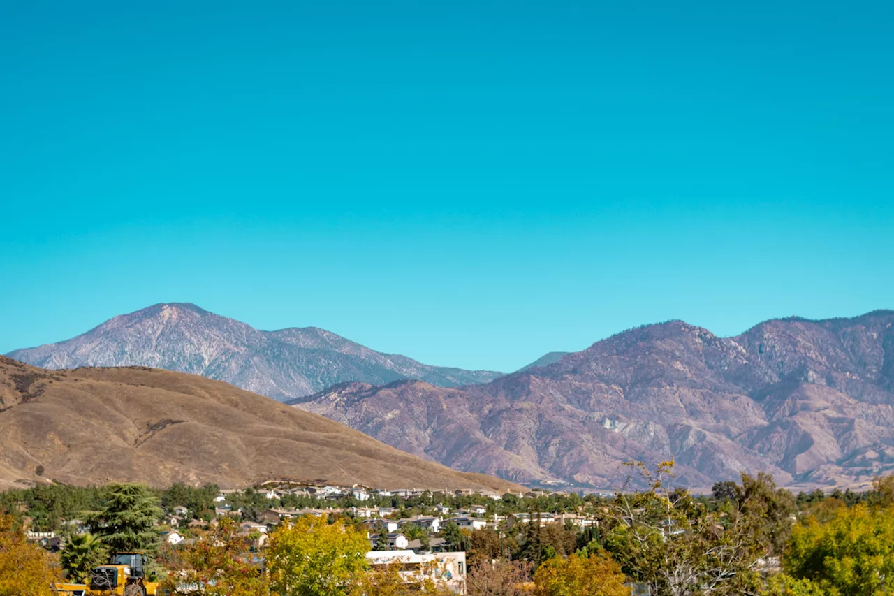 Under a temporary mining ban, four rare plant species can bloom in San Bernardino forest