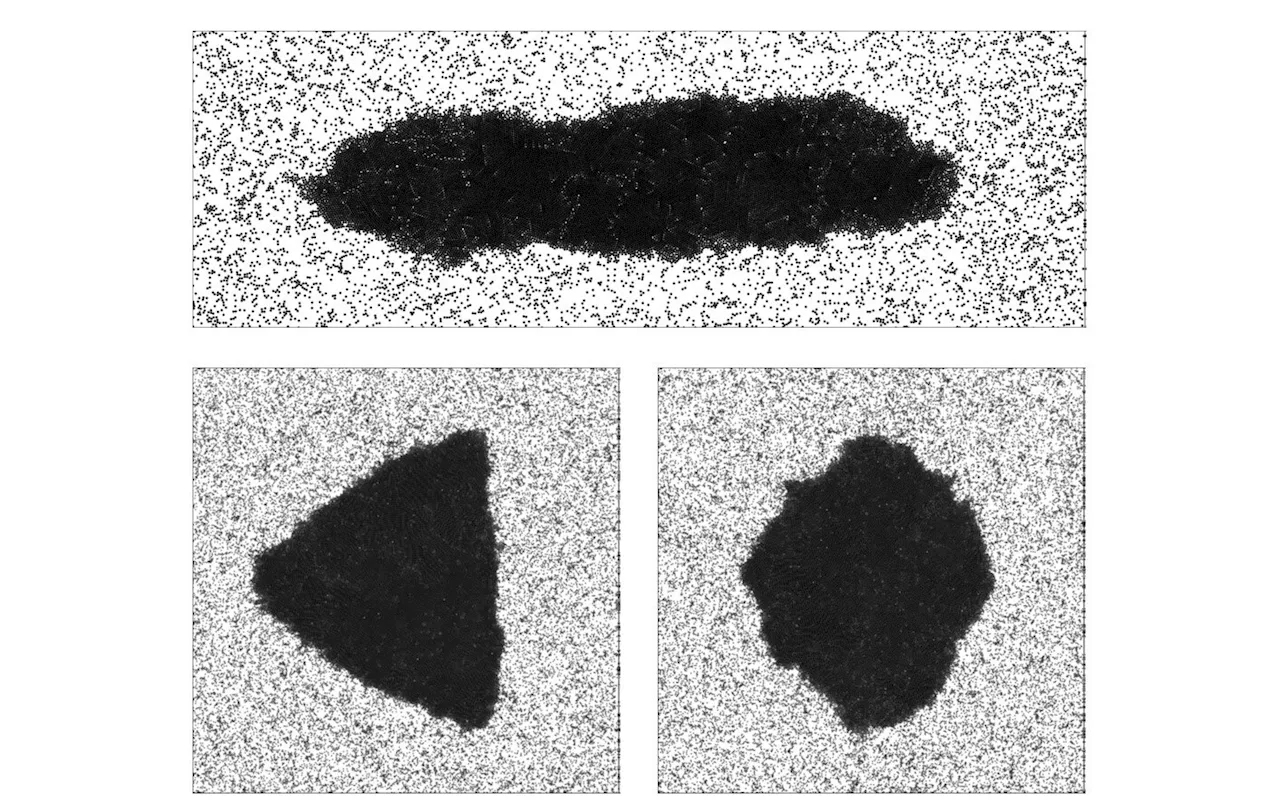 Working towards programmable matter: Unexpected behavior discovered in active particles