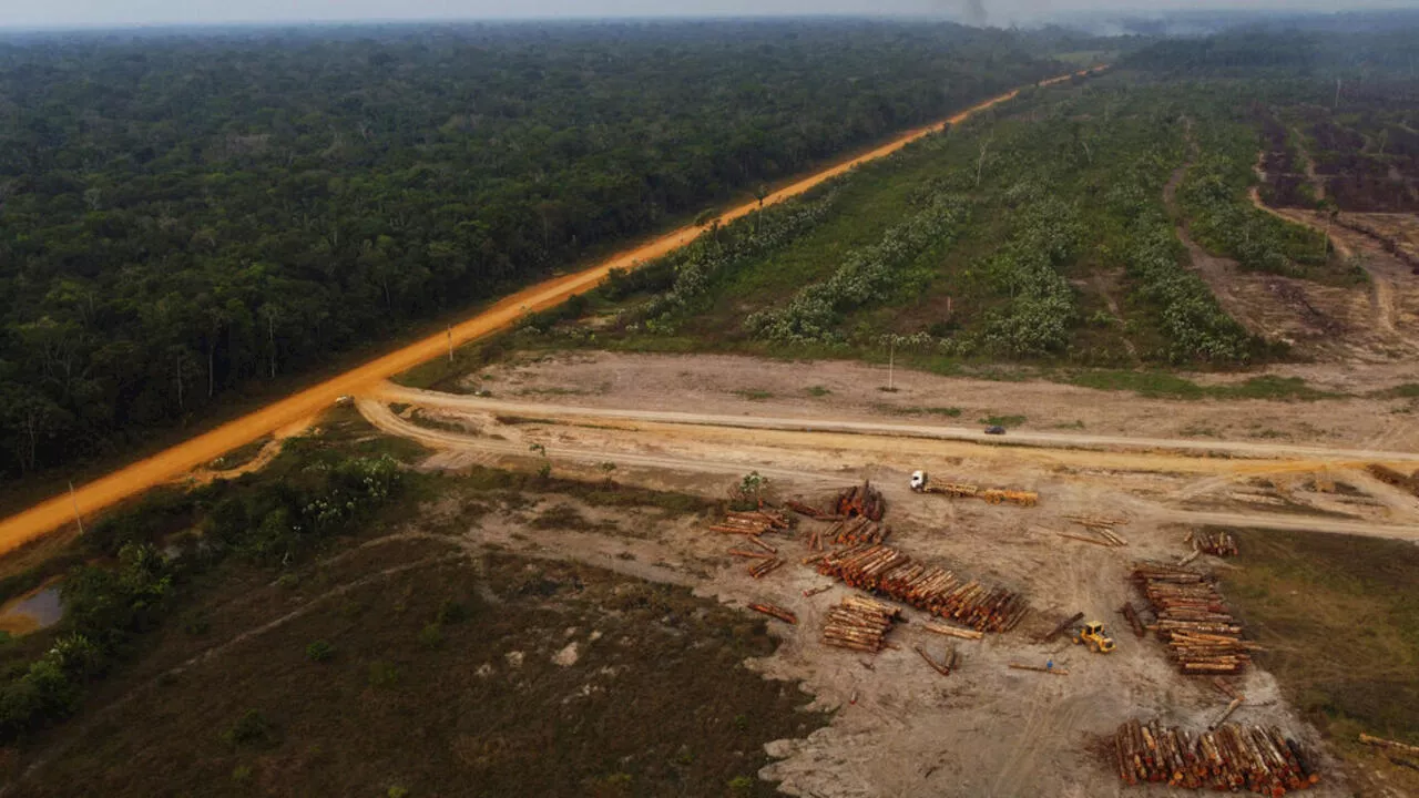 Contrairement aux engagements internationaux, la déforestation progresse