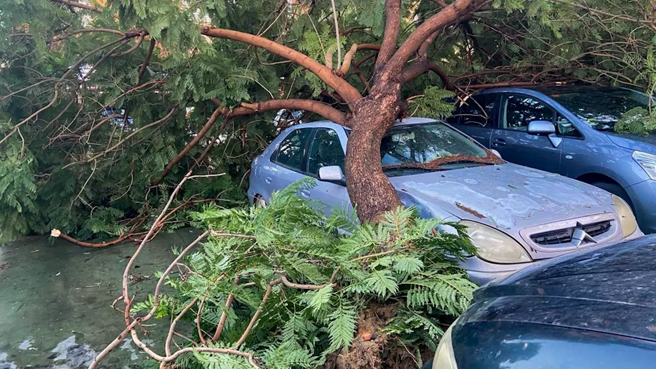 Muere un hombre en Trigueros, Huelva, al volcar su coche tras un desprendimiento por el temporal