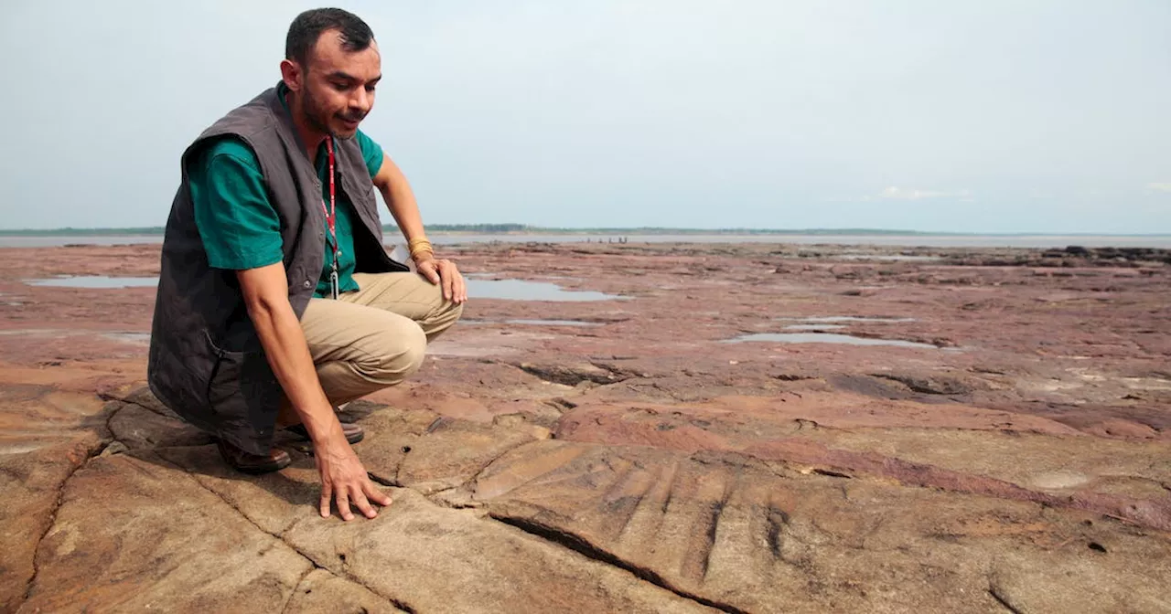 Ancient Amazon River rock carvings exposed by drought