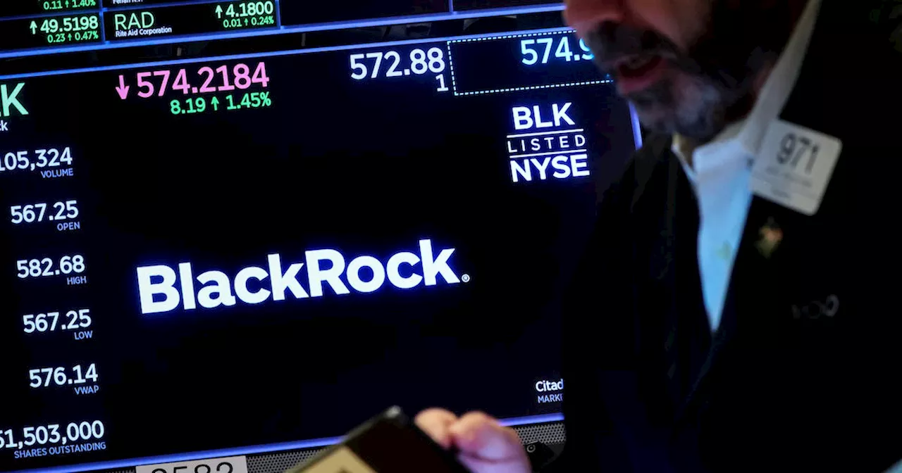 BlackRock warns of US earnings stagnation, remains bullish on AI, Japan