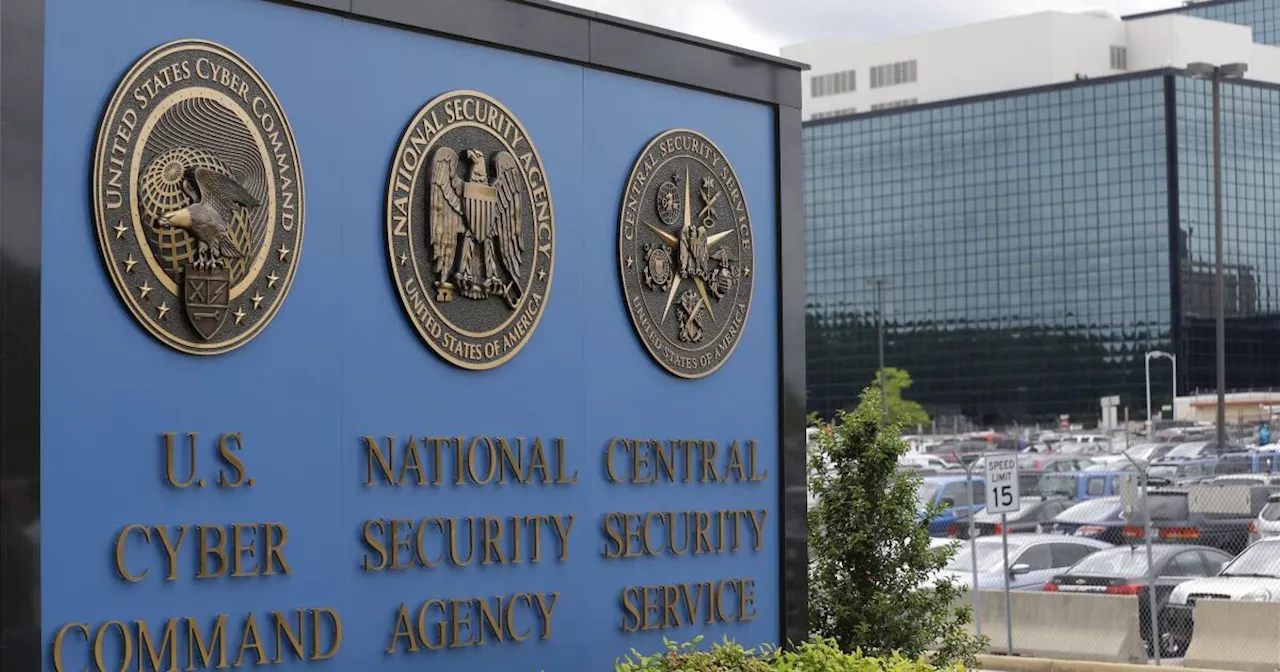 Former NSA worker pleads guilty to trying to sell US secrets Russia