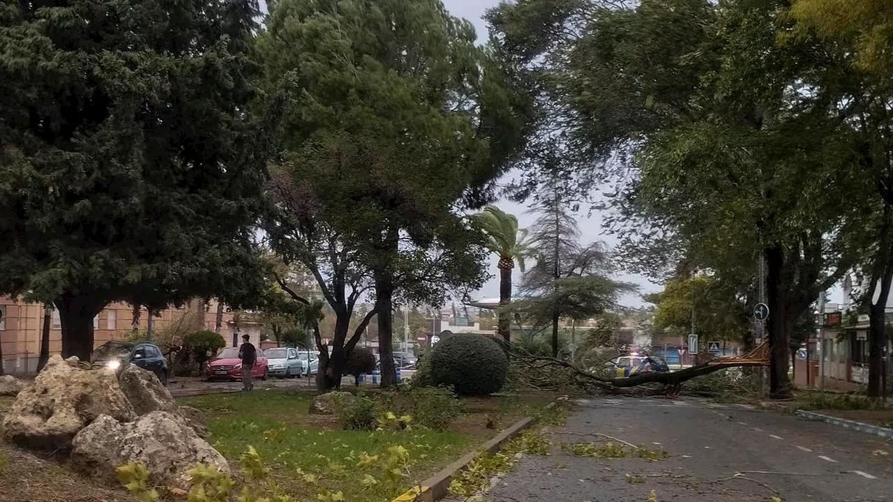 Un muerto en Trigueros (Huelva) tras un desprendimiento en el camino del Arroyo Sequillo