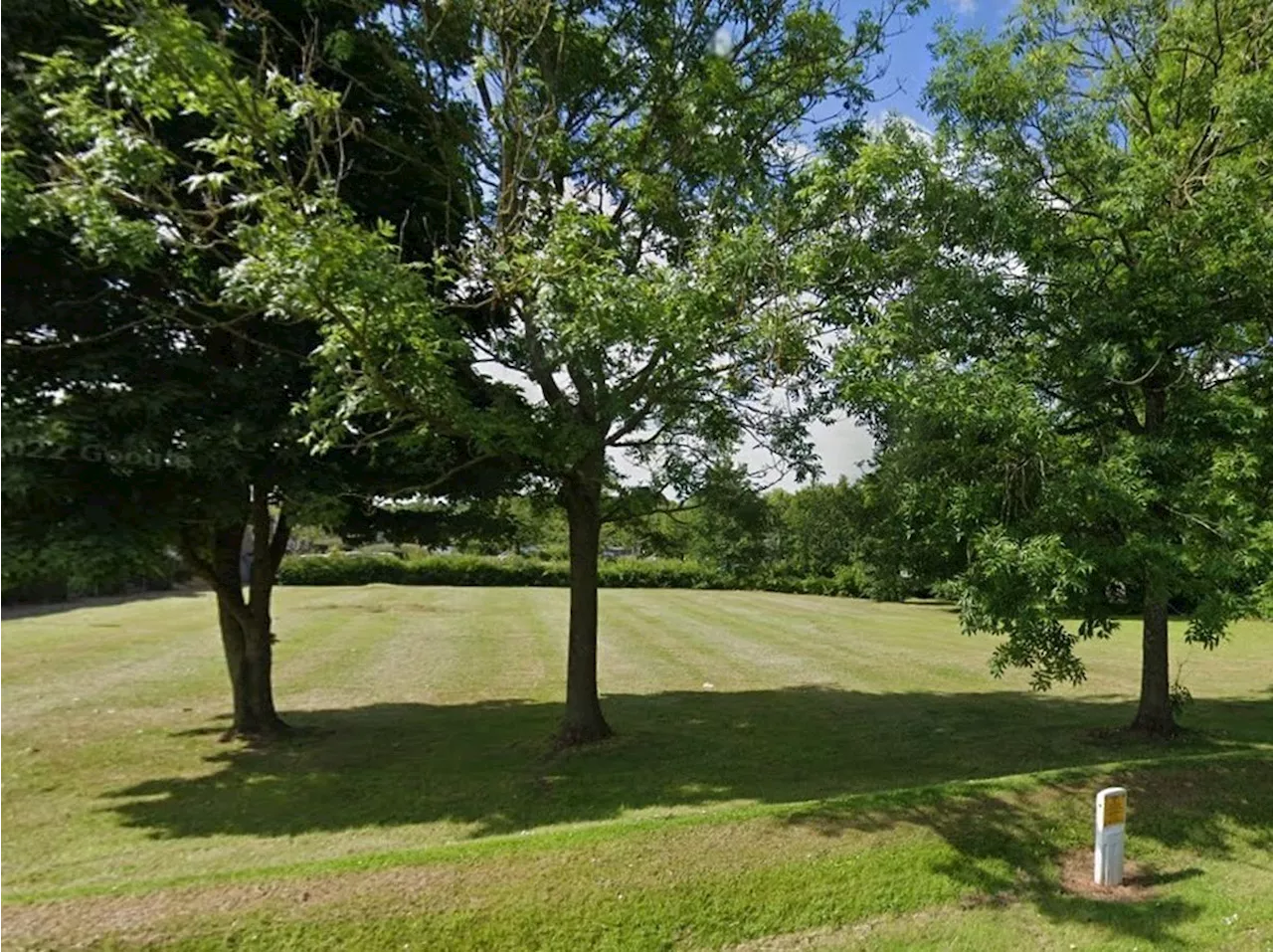 Telford industrial units get planning permission as council agrees to plant replacement trees