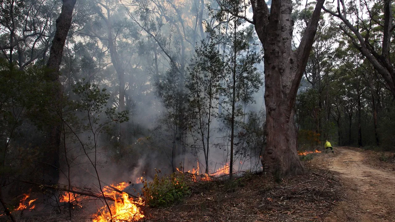 Suspicious bushfire tears through 3,000 hectares of national parkland