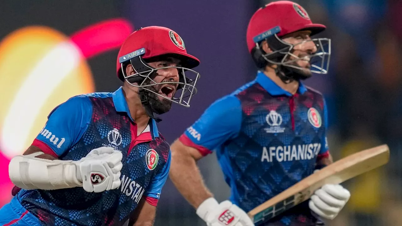 Cricket World Cup: Afghanistan claim historic eight-wicket victory against Pakistan