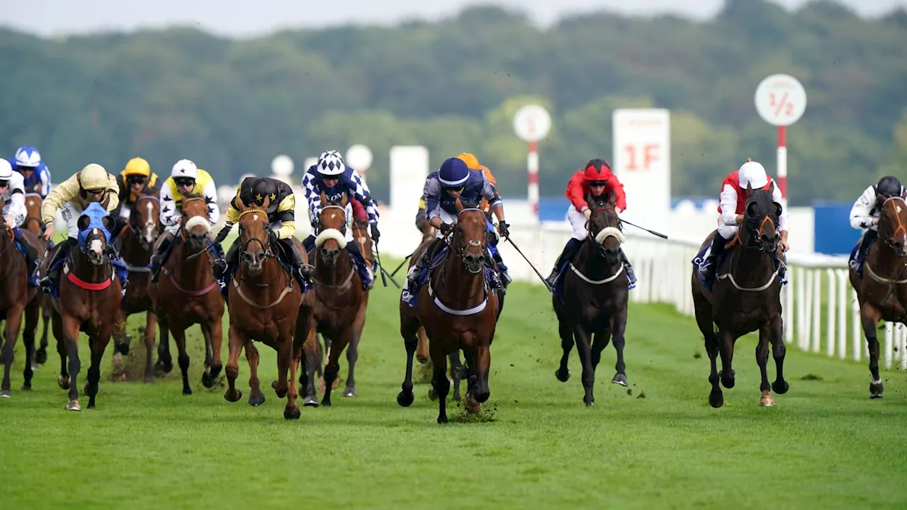 Today on Sky Sports Racing: Windsor, Plumpton and Wolverhampton all in action on busy Monday