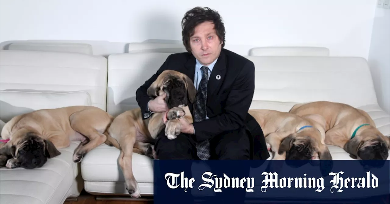 Far-right libertarian and his five cloned dogs vie for Argentina’s presidential palace