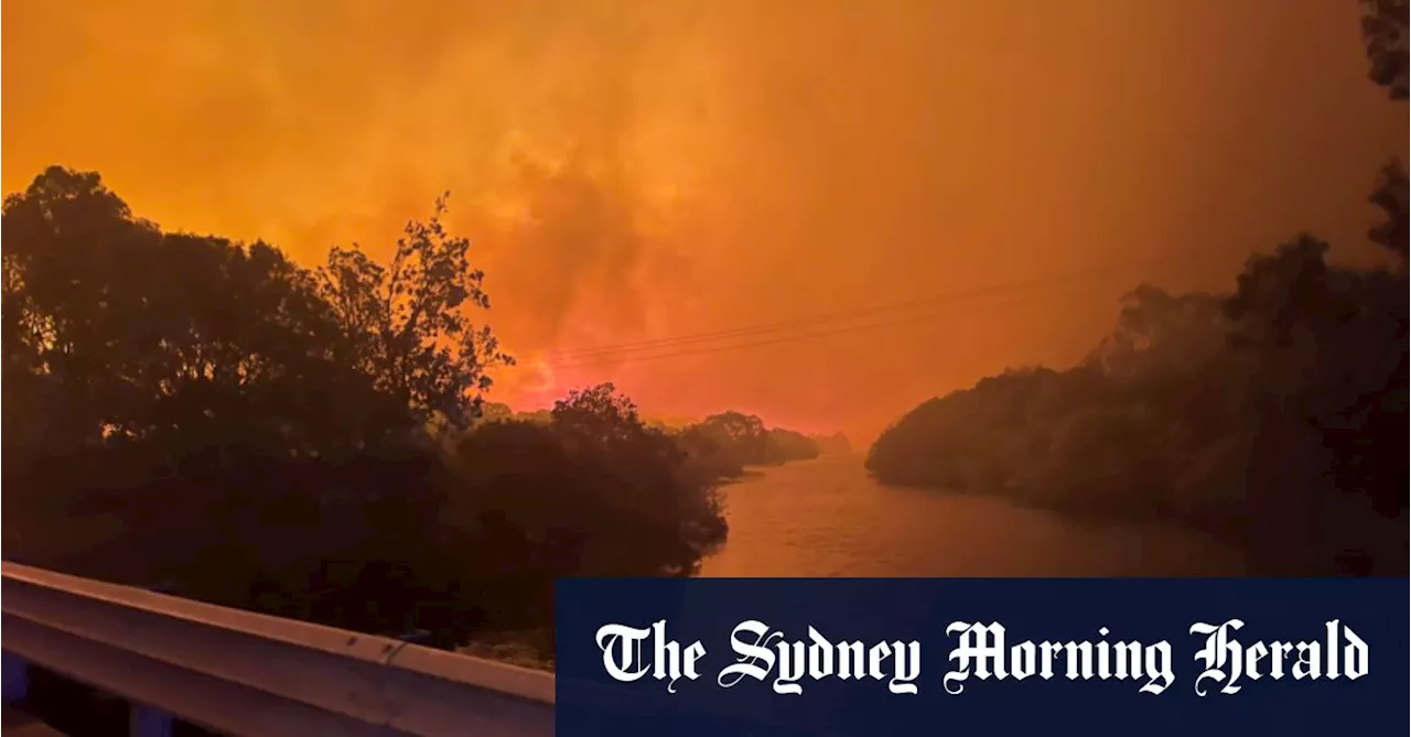 NSW Police launch investigation into ‘suspicious’ bushfire