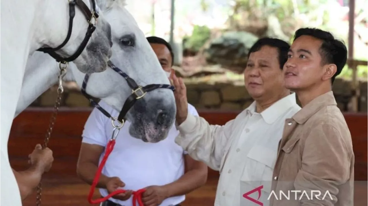 Gerindra Pastikan Prabowo-Gibran Segera Muncul Berdua Di Hadapan Publik, Setelah...