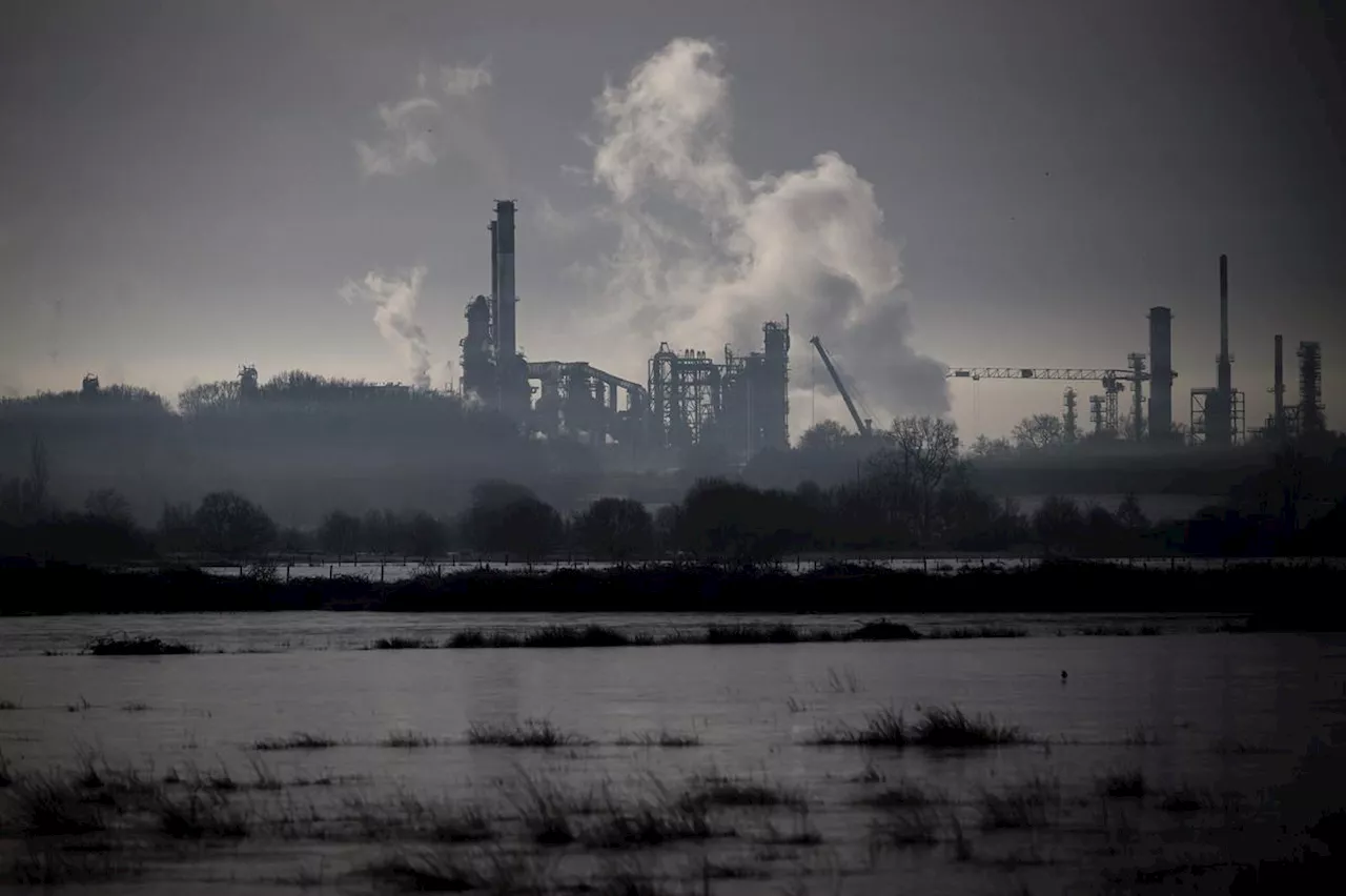 COP28 : plus de 130 entreprises appellent les gouvernements à s’attaquer aux énergies fossiles