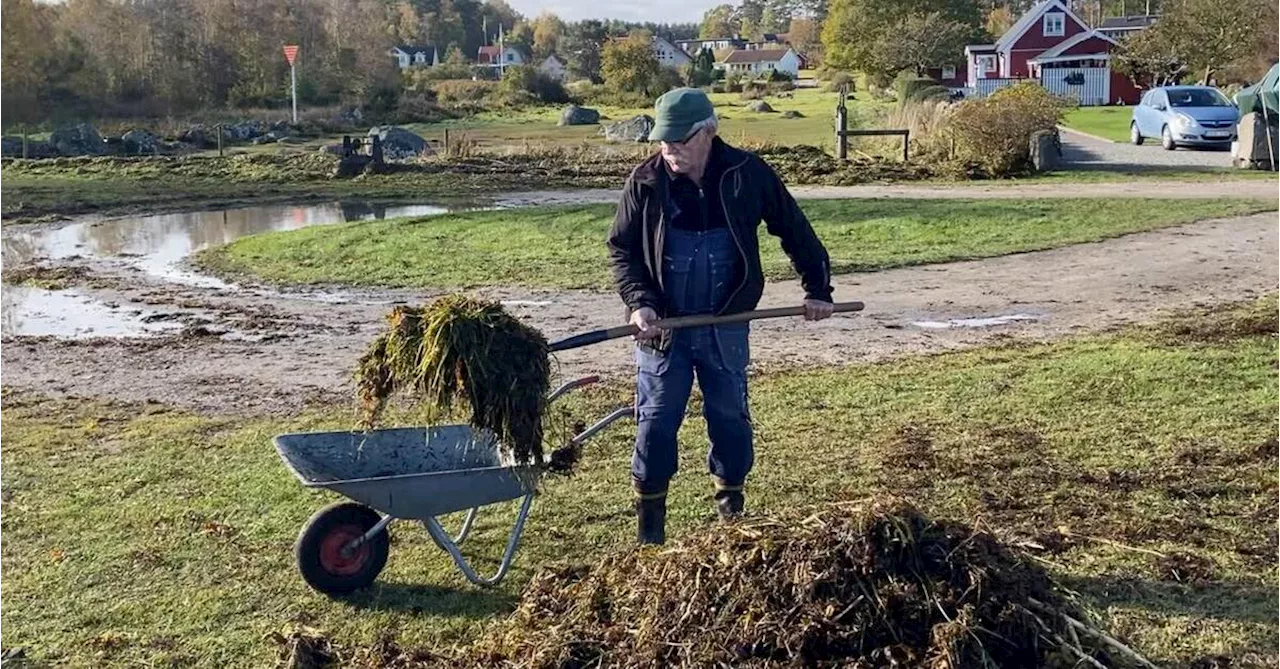 Här har oljan redan nått land: ”Det är för jävligt”