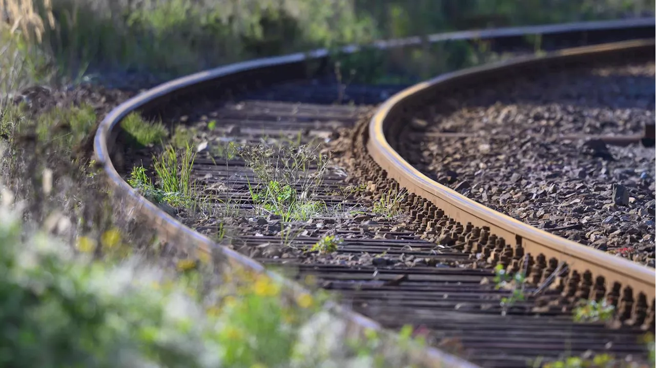 Reaktivierung von alten Strecken: Deutsche Bahn kommt nur langsam in die Fläche zurück