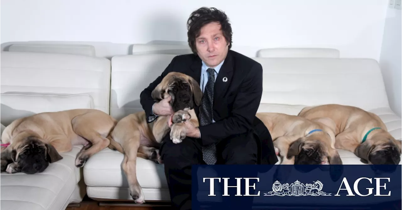 Far-right libertarian and his five cloned dogs vie for Argentina’s presidential palace