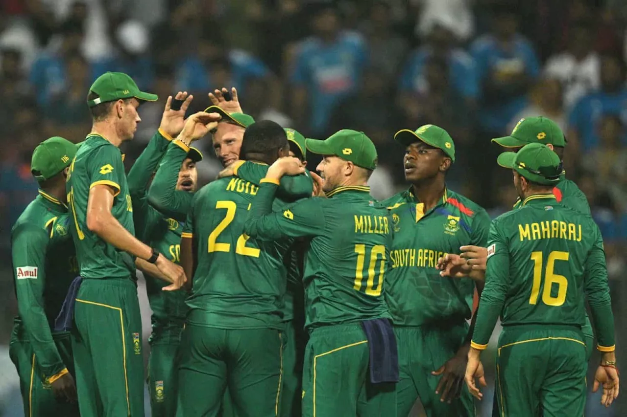 ‘An extra bit of oomph’: Proteas inspired by Boks in World Cup hunt