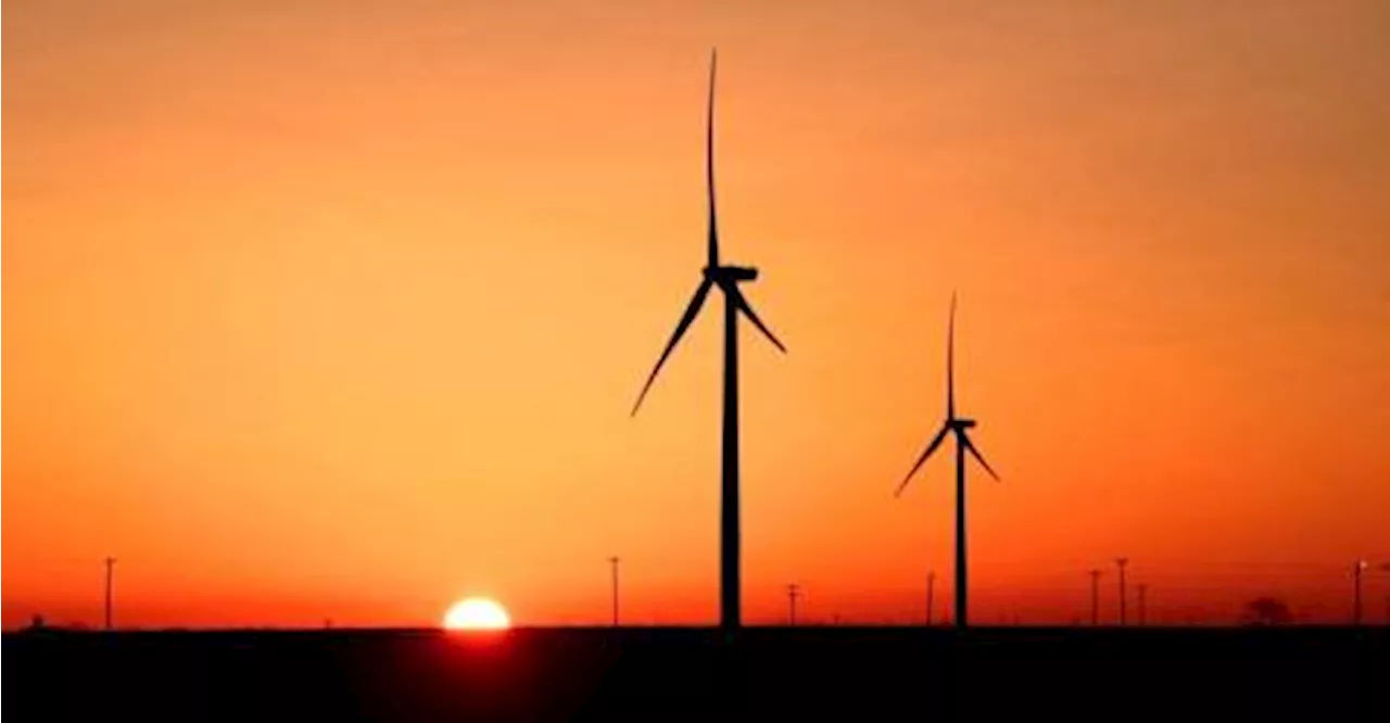 Study use of wind turbine to expand portfolio of renewable energy: MP