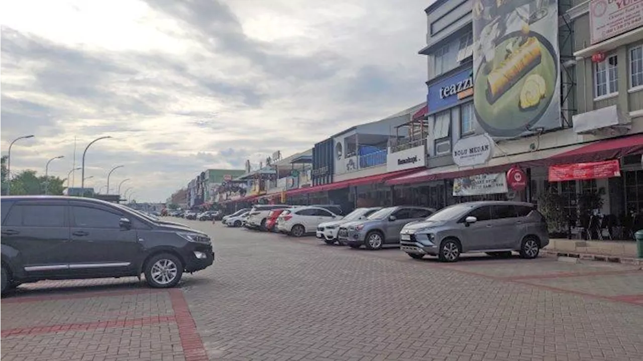 Pengamat Properti Beberkan Strategi Ekspansi Bisnis dan Membidik Untung di Kota Mandiri