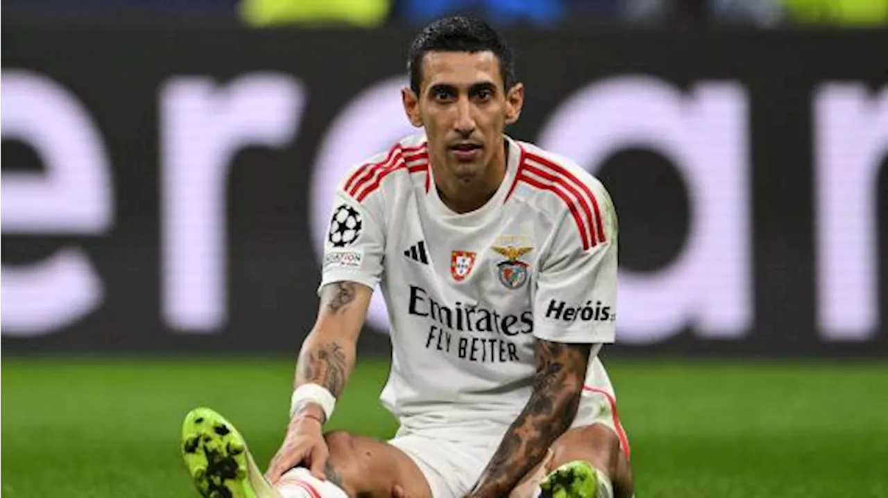 Il Benfica tenta la risalita in Champions. Schmidt spera di recuperare Di Maria e Kokcu