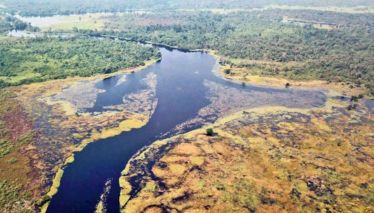 Saintis temukan sungai paling gelap di dunia