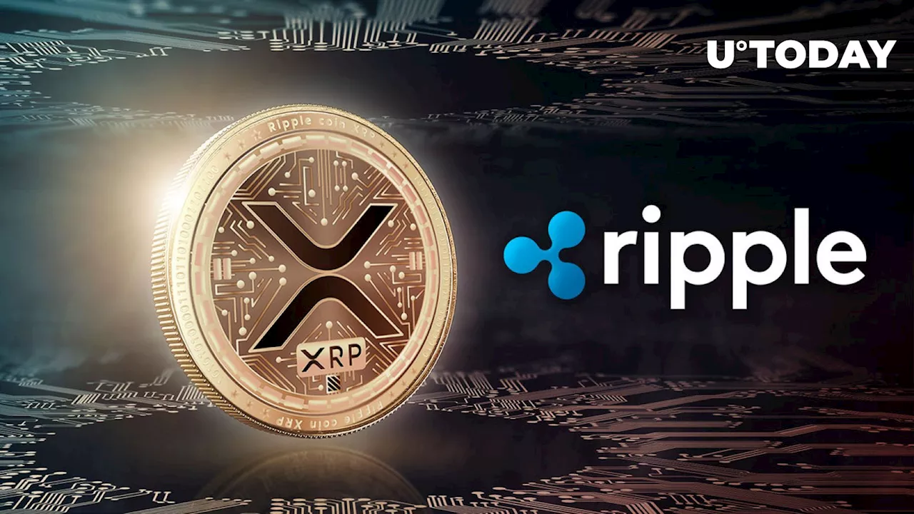 Almost 500 Million XRP Shoveled in Last 24 Hours, Ripple Giant Involved