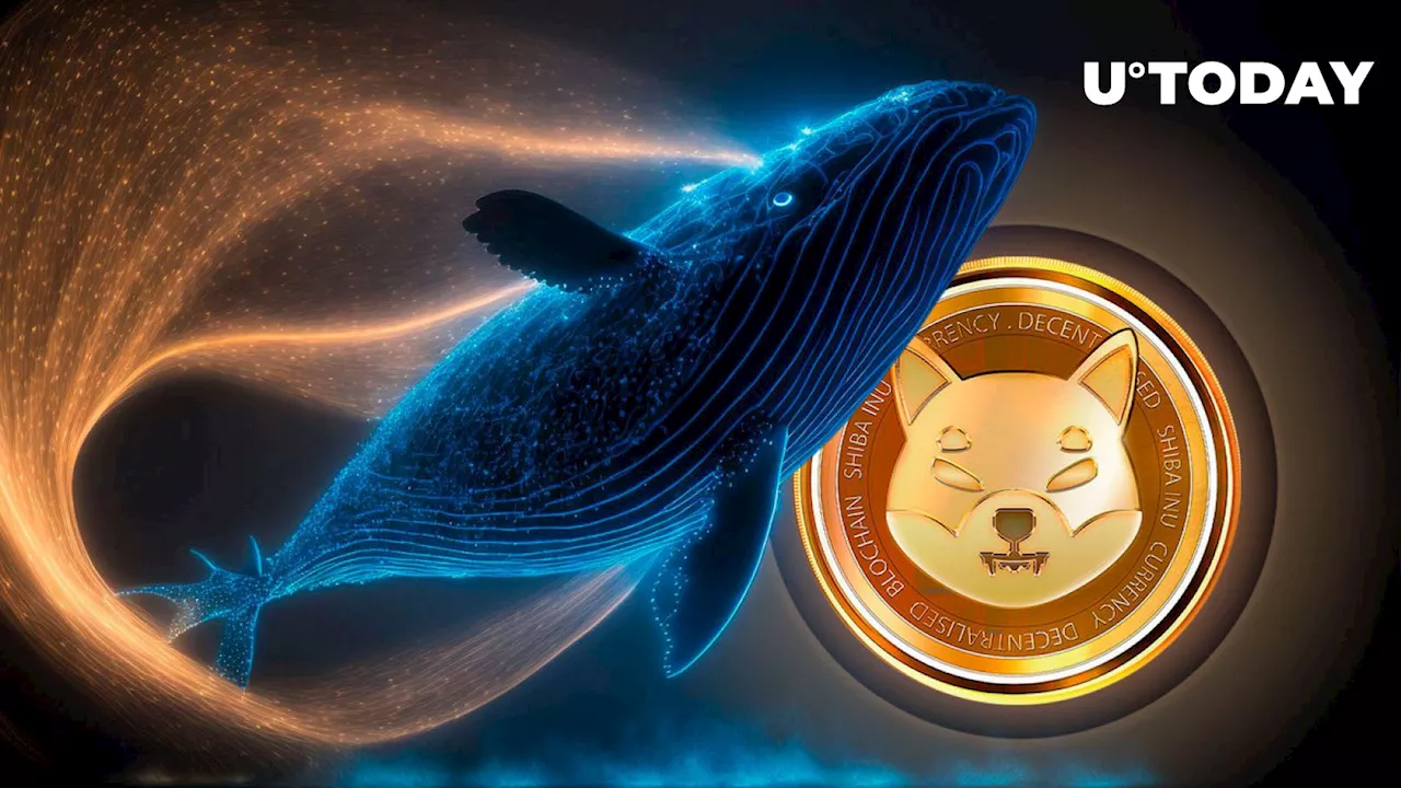 Billions of SHIB Acquired by Anonymous Whale as Shiba Inu Price Eyes Explosive Breakout