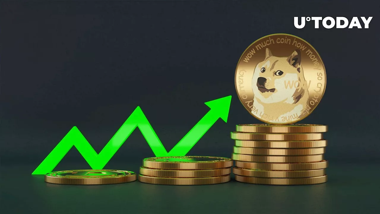 'Number Go Up,' Says Dogecoin Creator as DOGE Price Soars