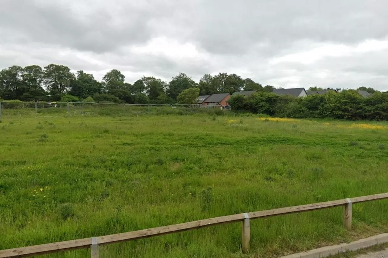 Plan to build eight 'large executive homes' in conservation area refused by council