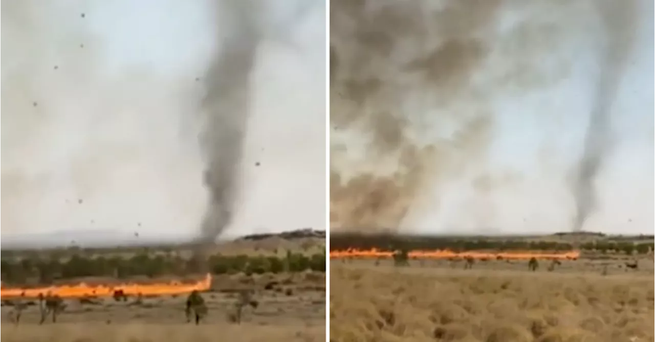 'Firenado' rips through six kilometres of bush in 15 minutes in remote Western Australia