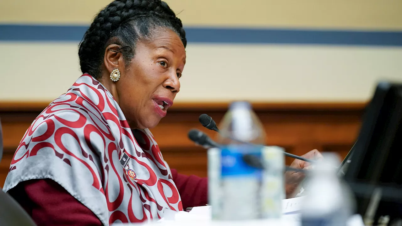 US Representative Sheila Jackson Lee's campaign chair assaulted, according to Houston police