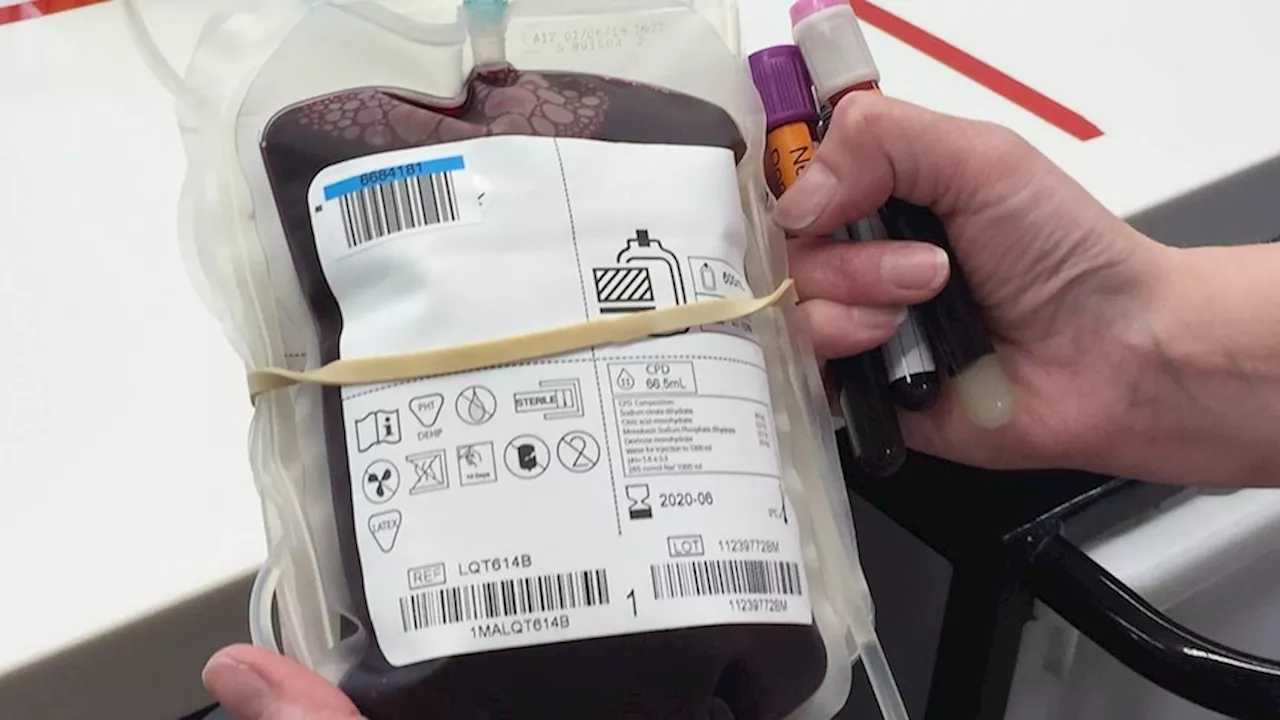 NSW court allows health officials to give blood transfusion to Jehovah's Witness toddler