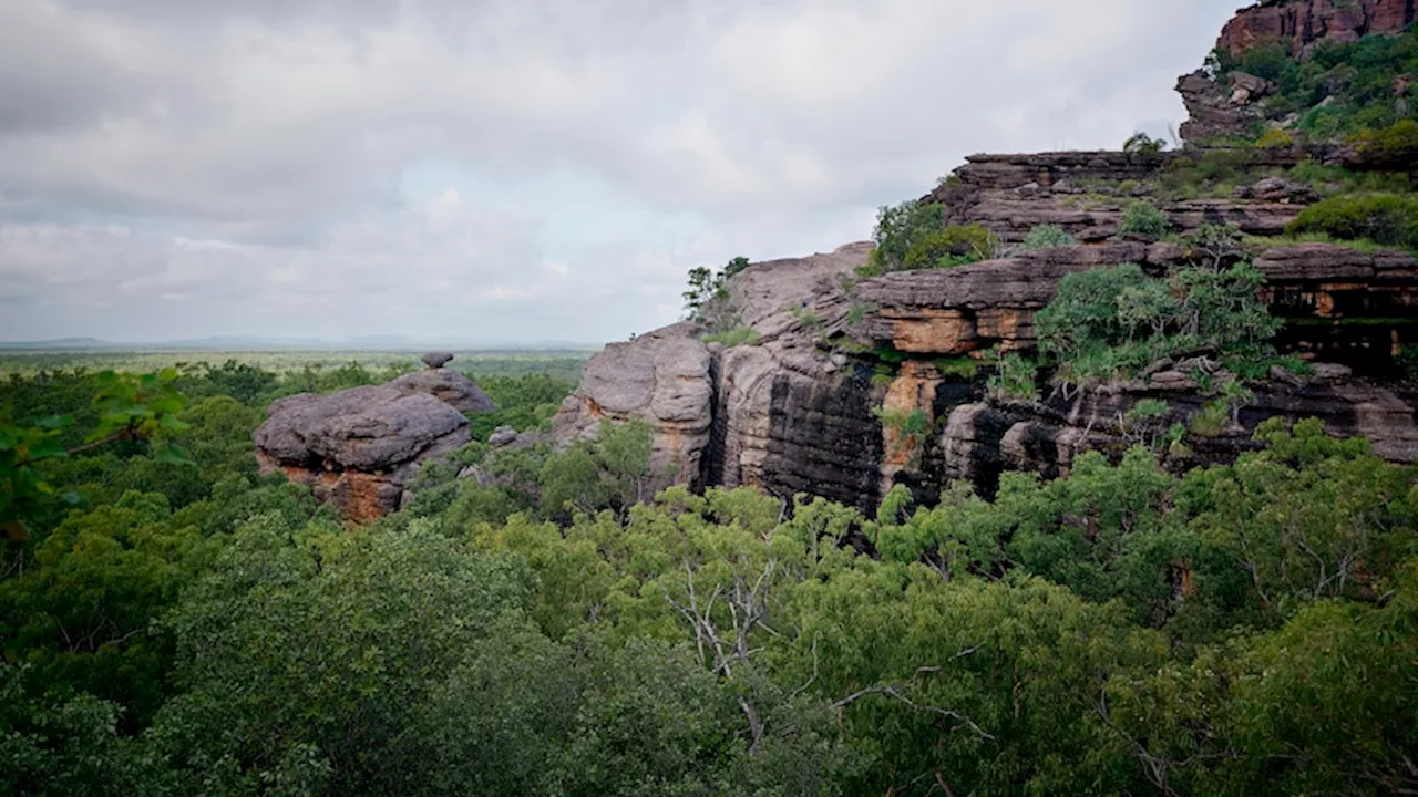 NT Police search underway for Jessica Louise Stephens missing in Kakadu National Park