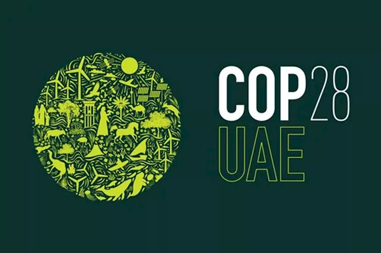 «COP28».. مبادرات «الشباب العربي» تعزز الطموح المناخي