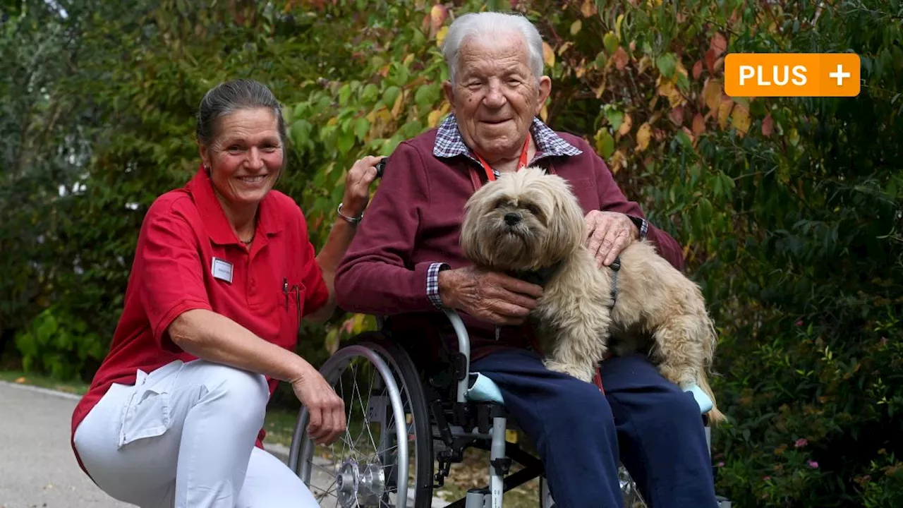 Hund Sammy darf endlich wieder bei seinem Herrchen sein