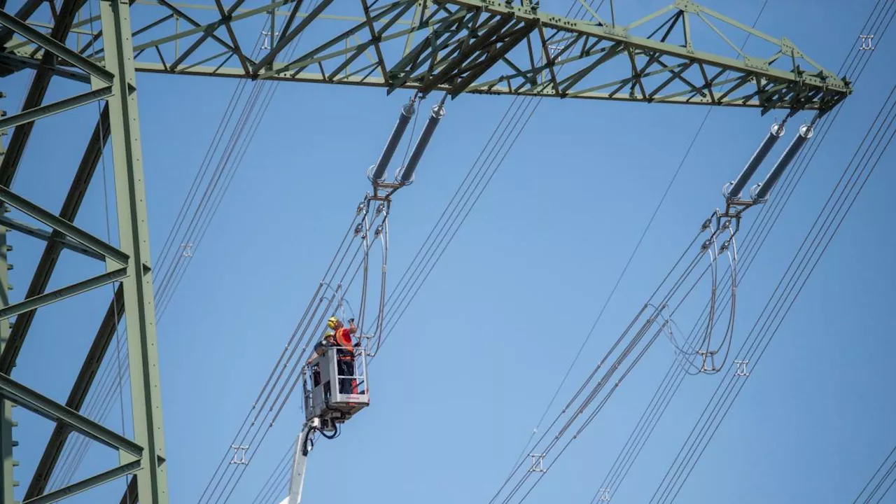 Netzkosten treiben Strompreis stark in die Höhe