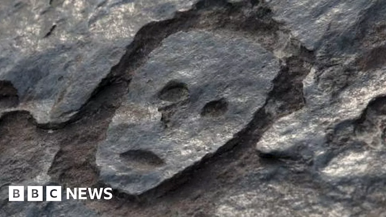 Brazil drought reveals ancient rock carvings of human faces