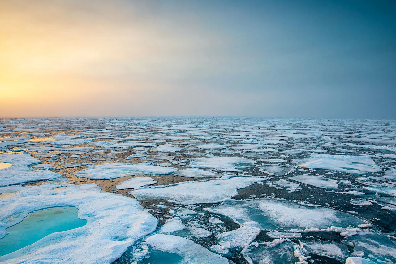 We can’t stop the West Antarctic Ice Sheet from melting, new study says