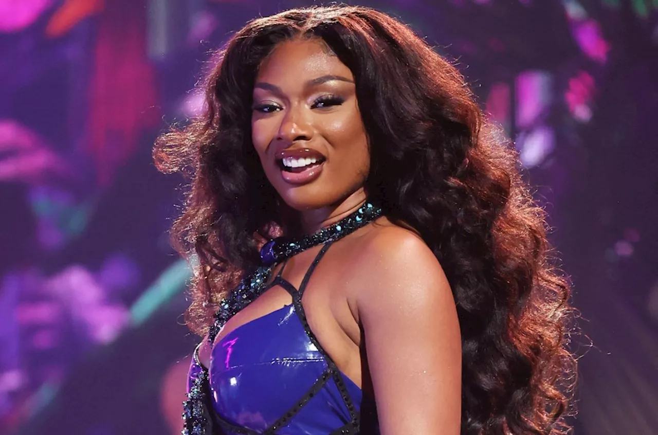 Megan Thee Stallion Says 'We Must Shed Our Past' in Snake-Themed Tease