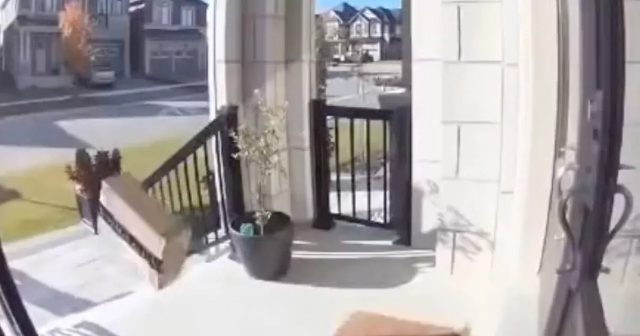 Video shows Amazon delivery driver hurling packages at home near Toronto